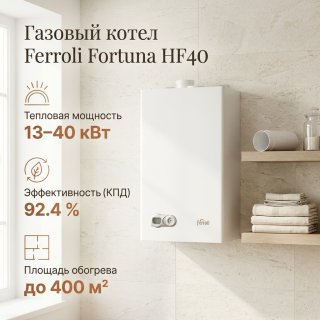 Газовый котел Ferroli Fortuna HF40 с дымоходом