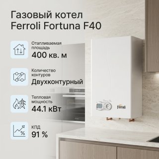 Газовый котел Ferroli Fortuna F40 с дымоходом